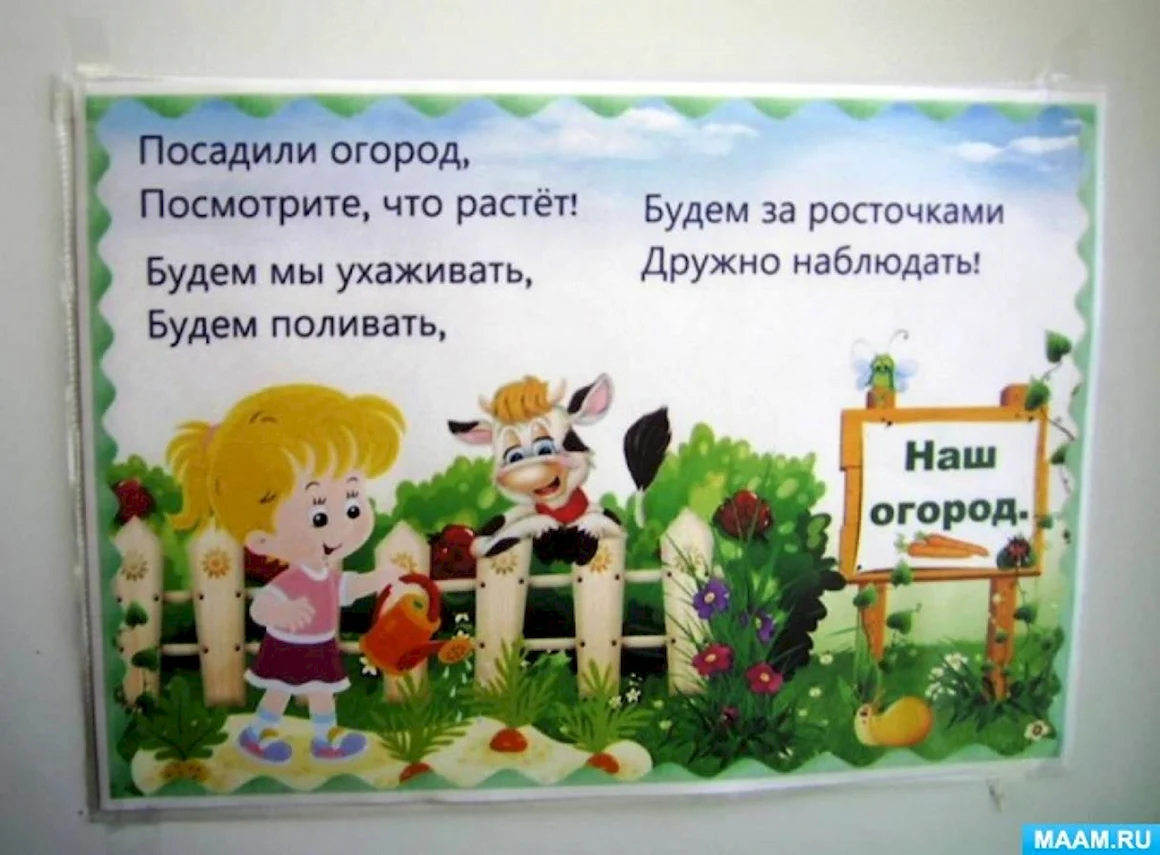 Таблички для огорода на подоконнике