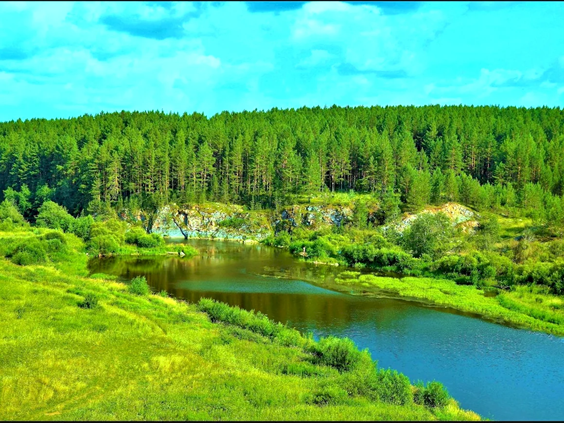 Тайга Урала