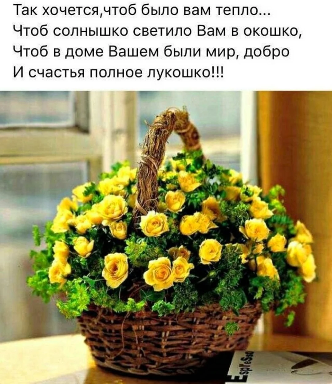 Так хочется чтоб было вам тепло