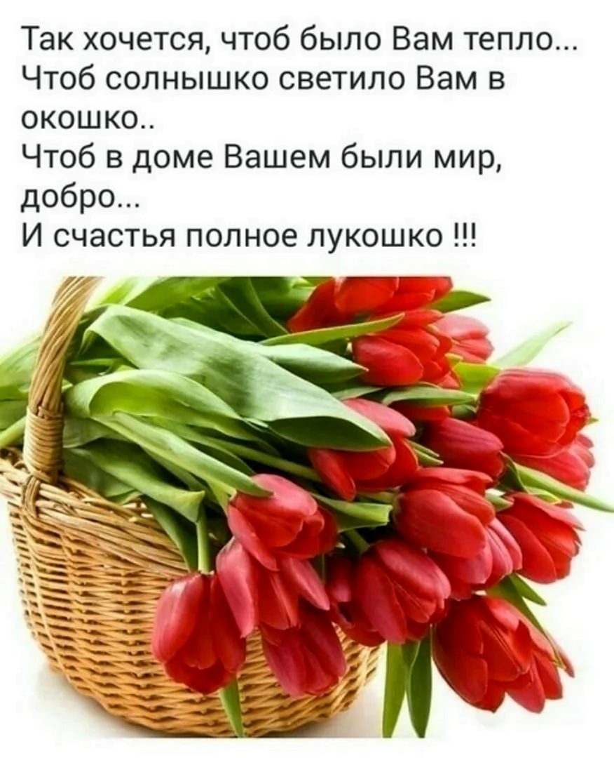 Так хочется чтоб было вам тепло