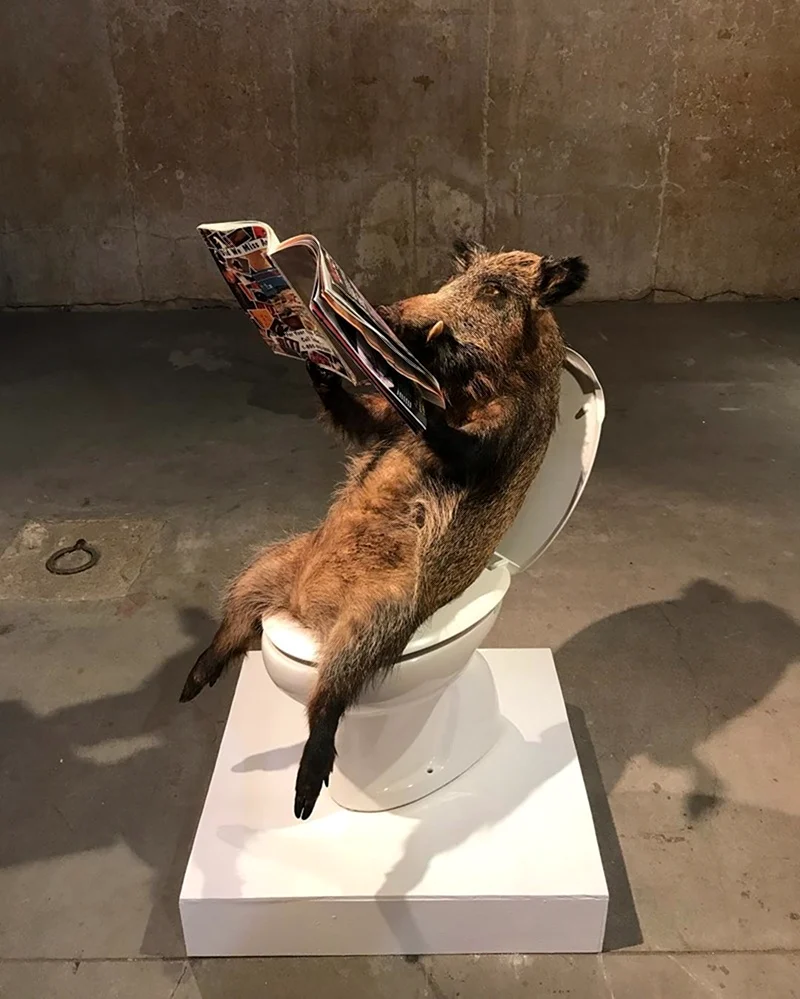 Таксидермист Митин Сергей