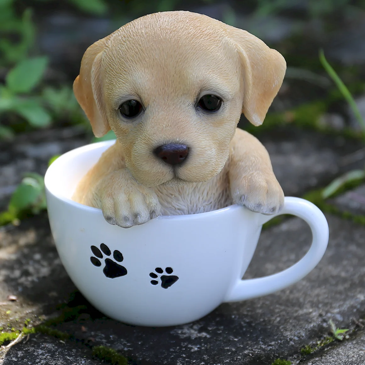 Teacup собачки