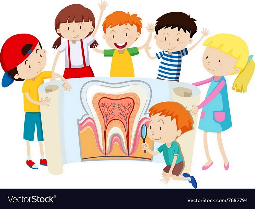 Teeth child vector