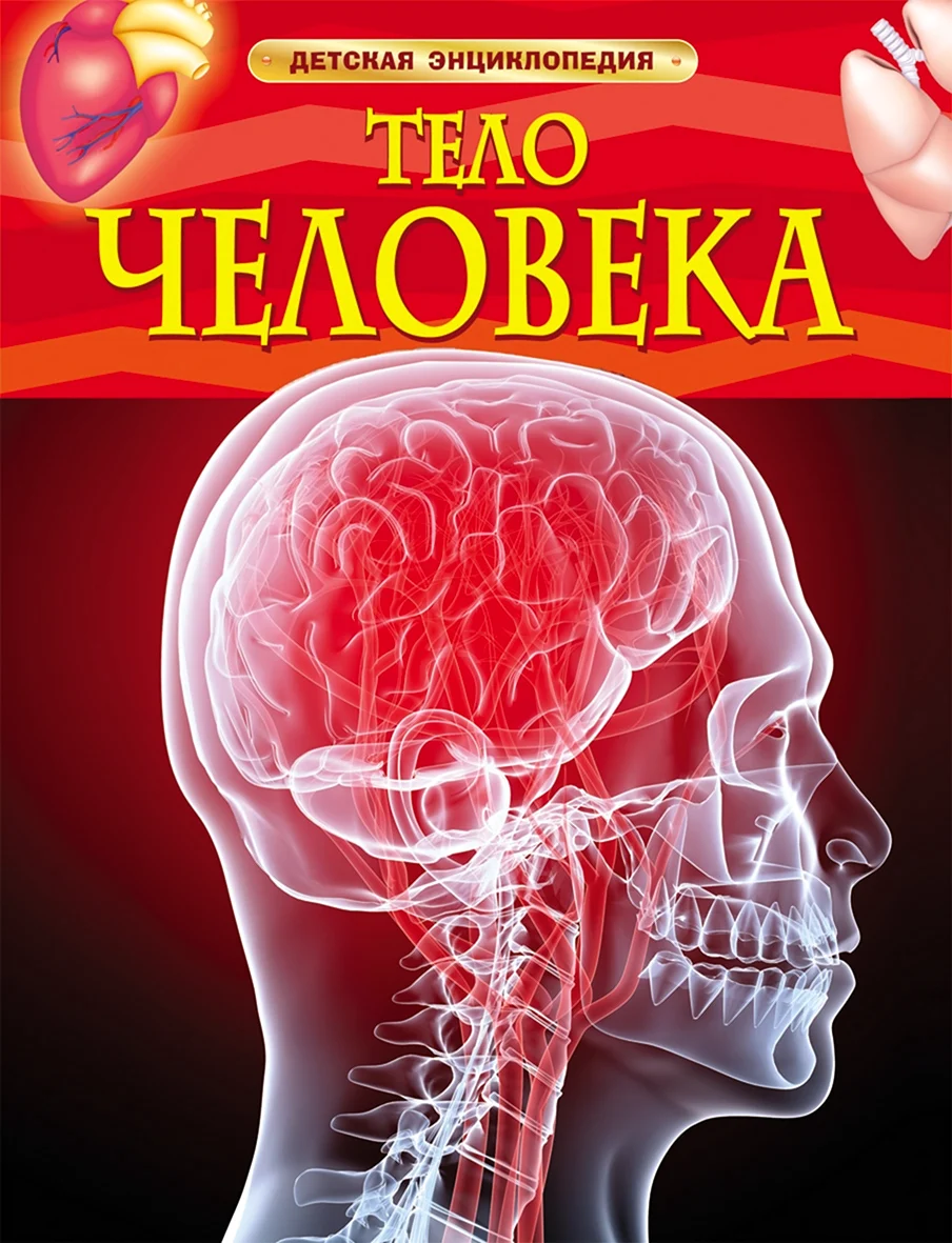 Тело человека детская энциклопедия Смит Миранда