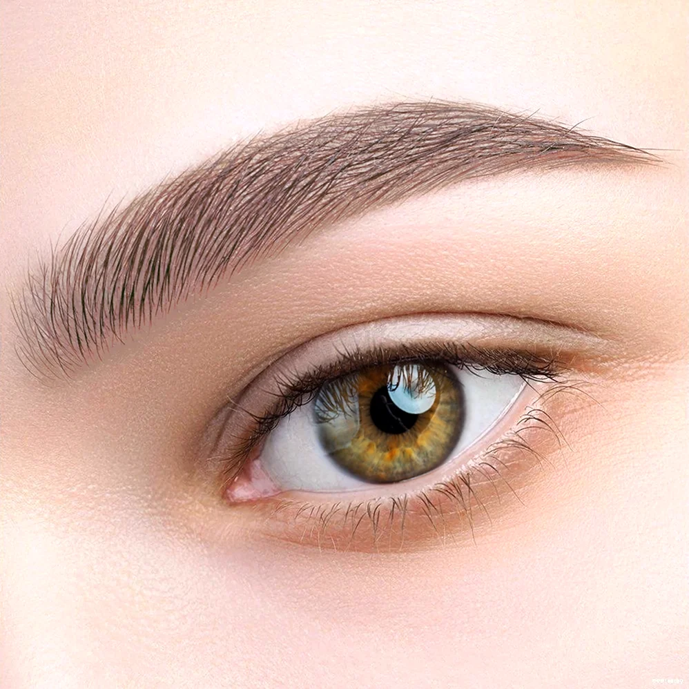 Тени для бровей Relouis Pro Brow