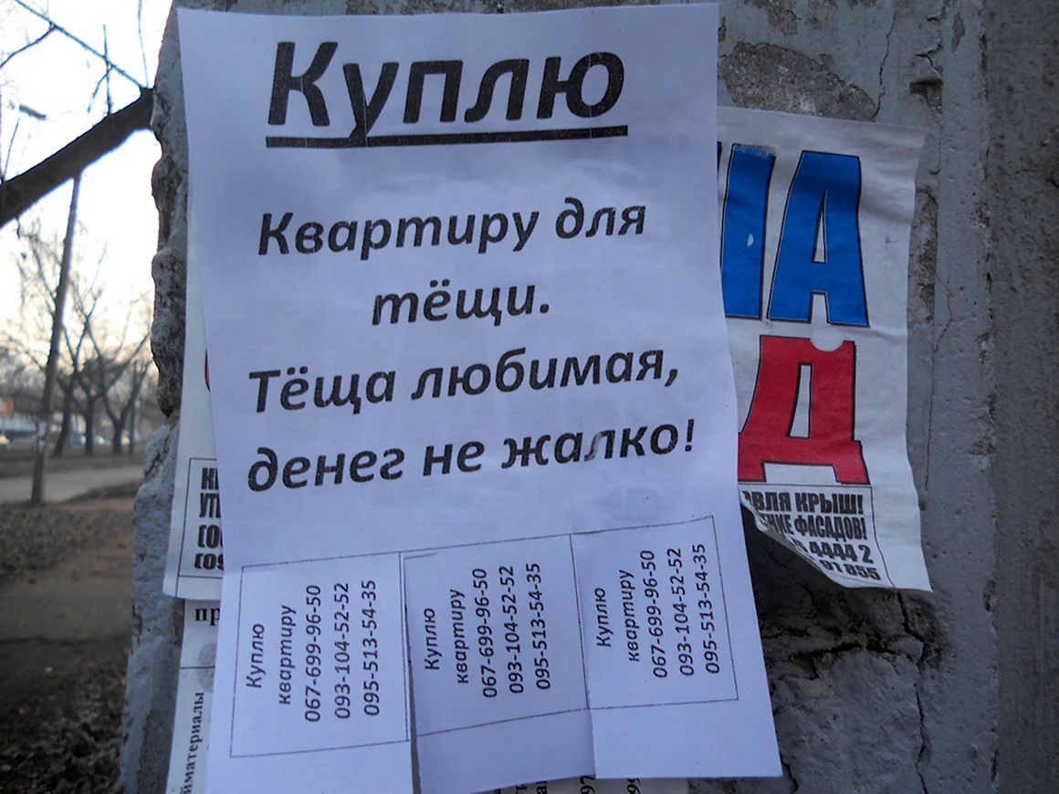 Теща и свекровь прикол