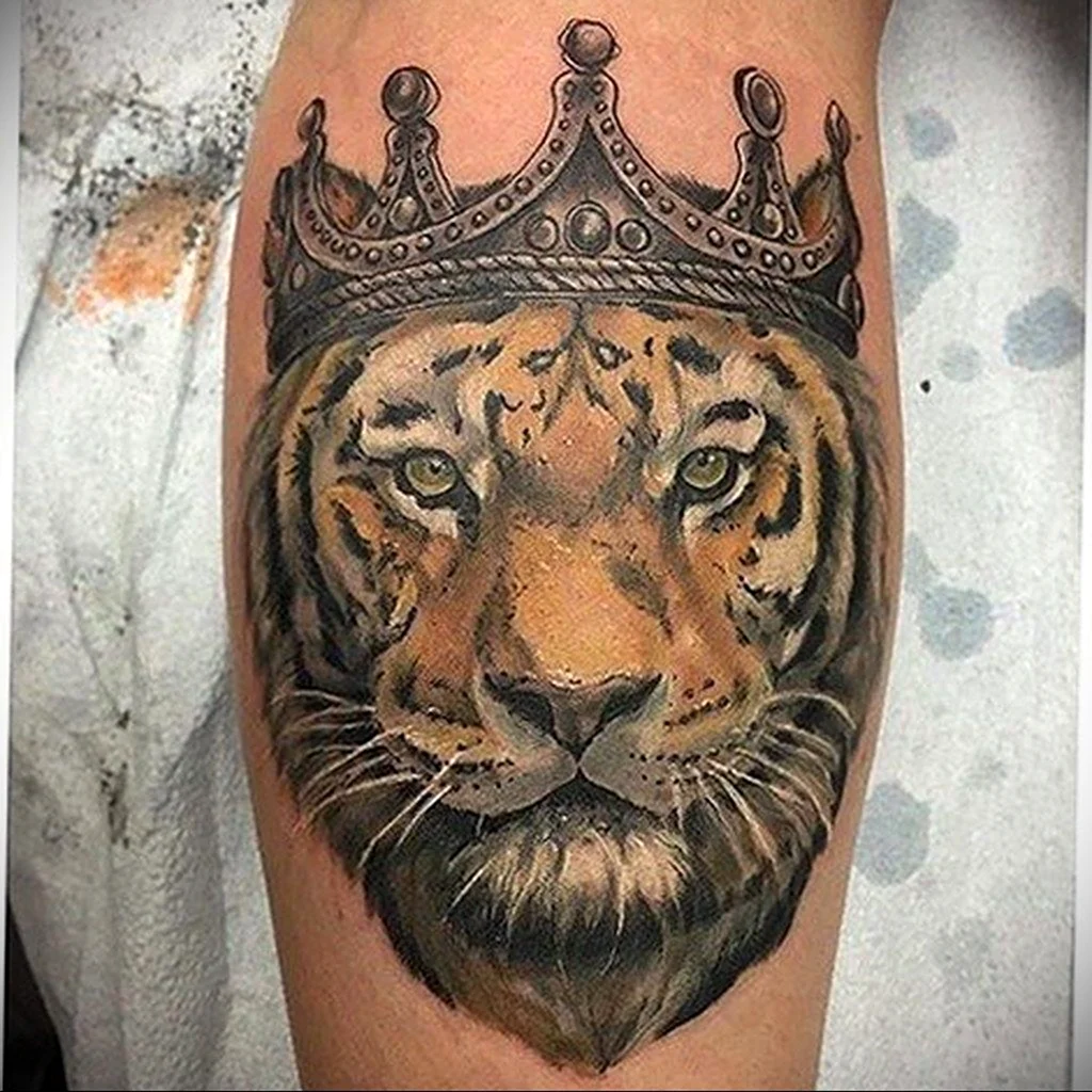 Тигр с короной