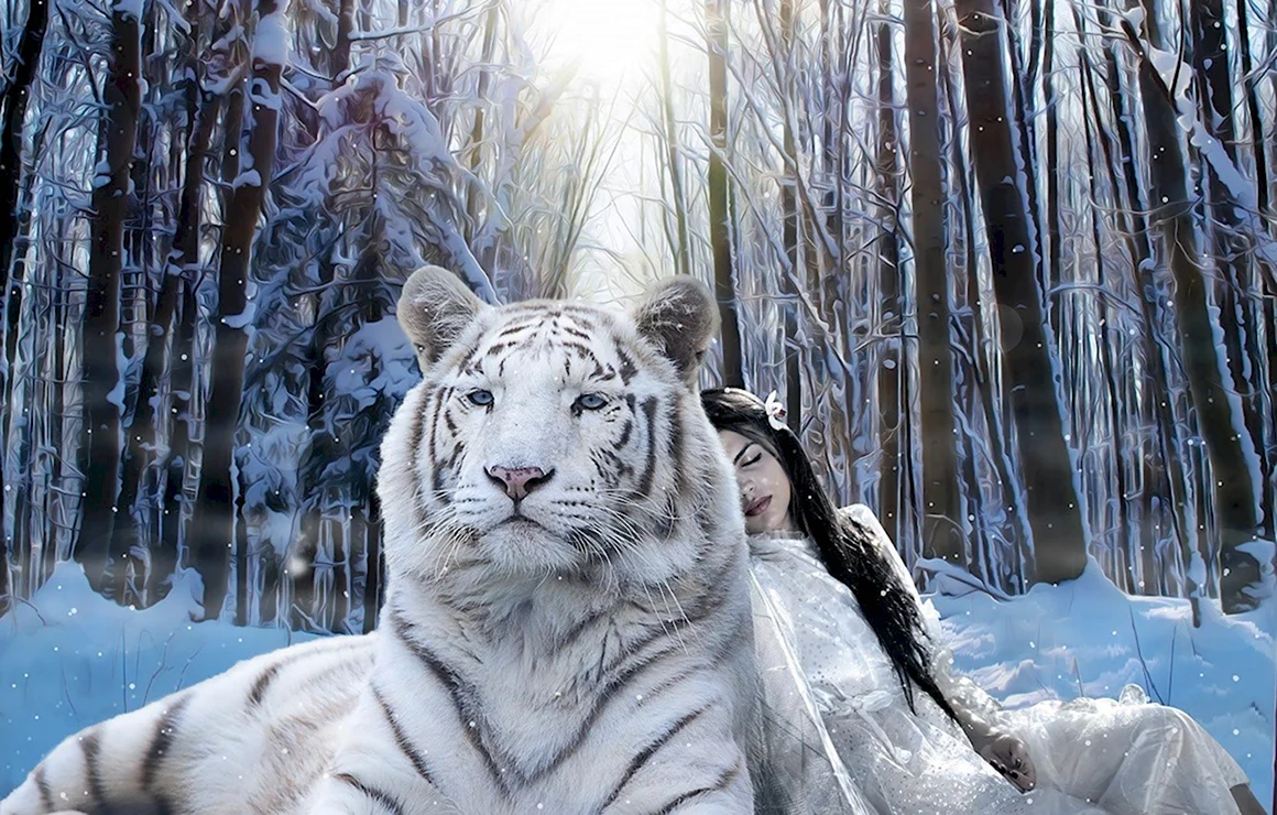 Тигр зимой