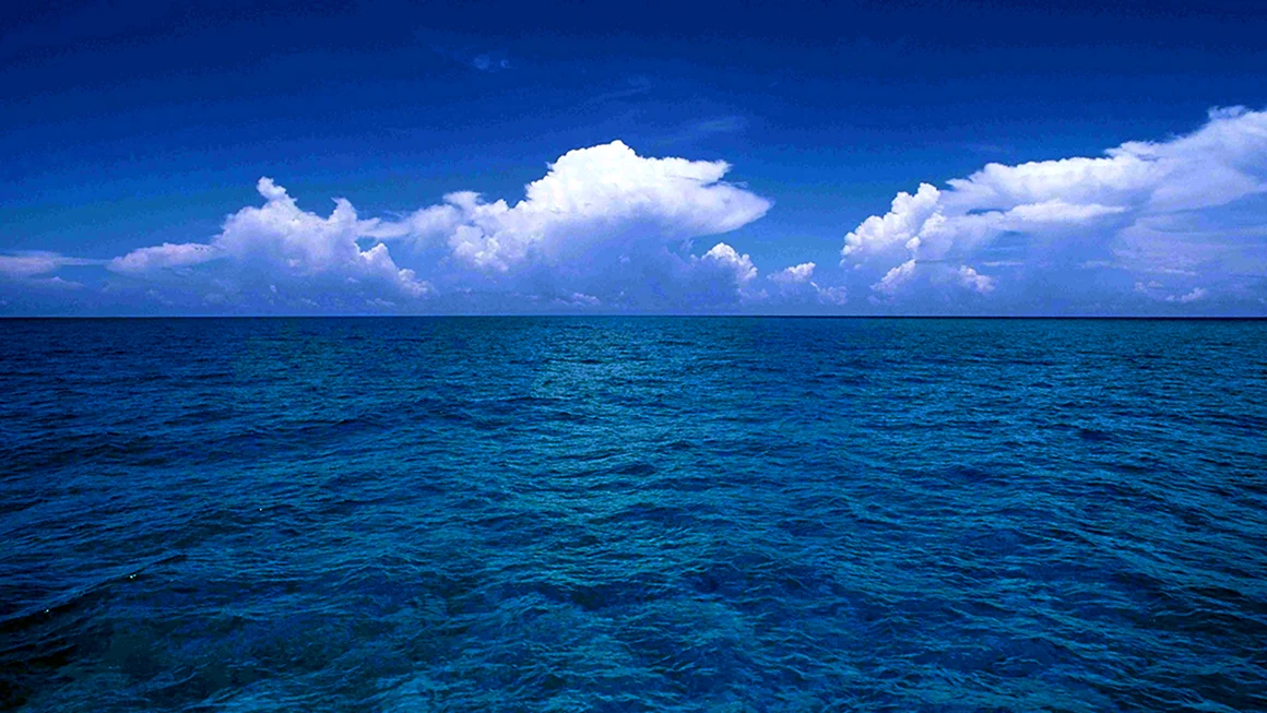 Тихое море