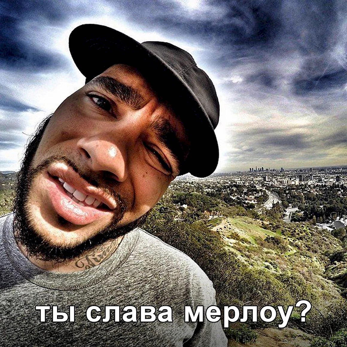 Тимати беброу