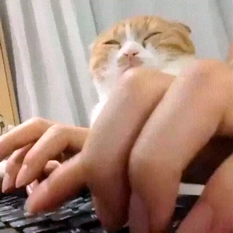Тискать кота