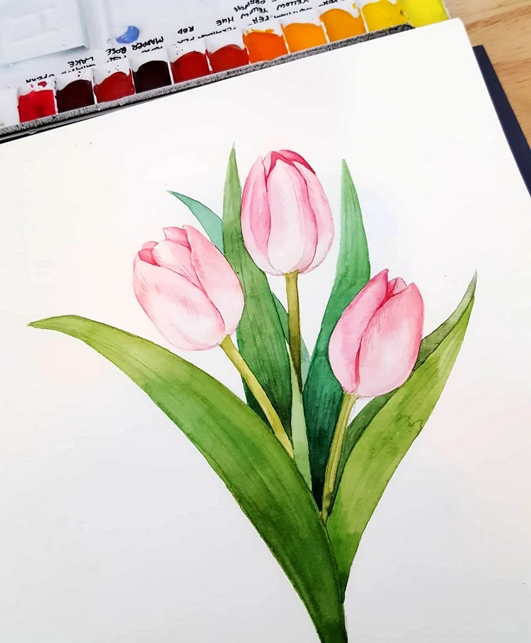 Тюльпаны рисунок цветными карандашами