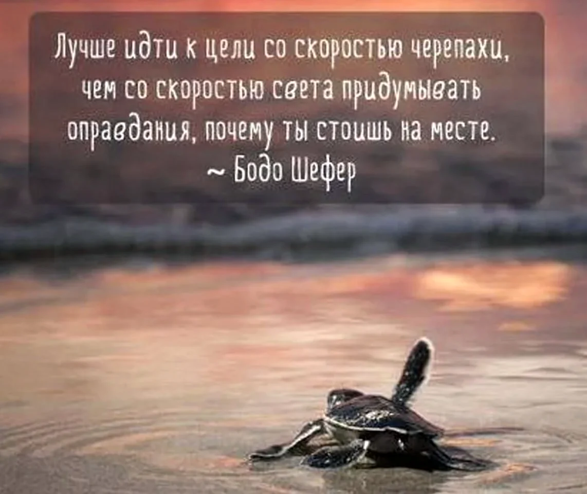 Цели высказывания