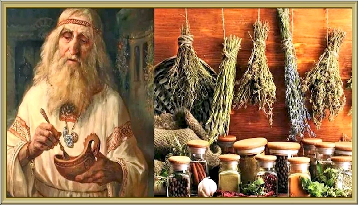 Целитель травник Знахарь Ведун