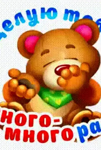 Целую обнимаю