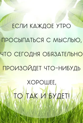 Цитата дня