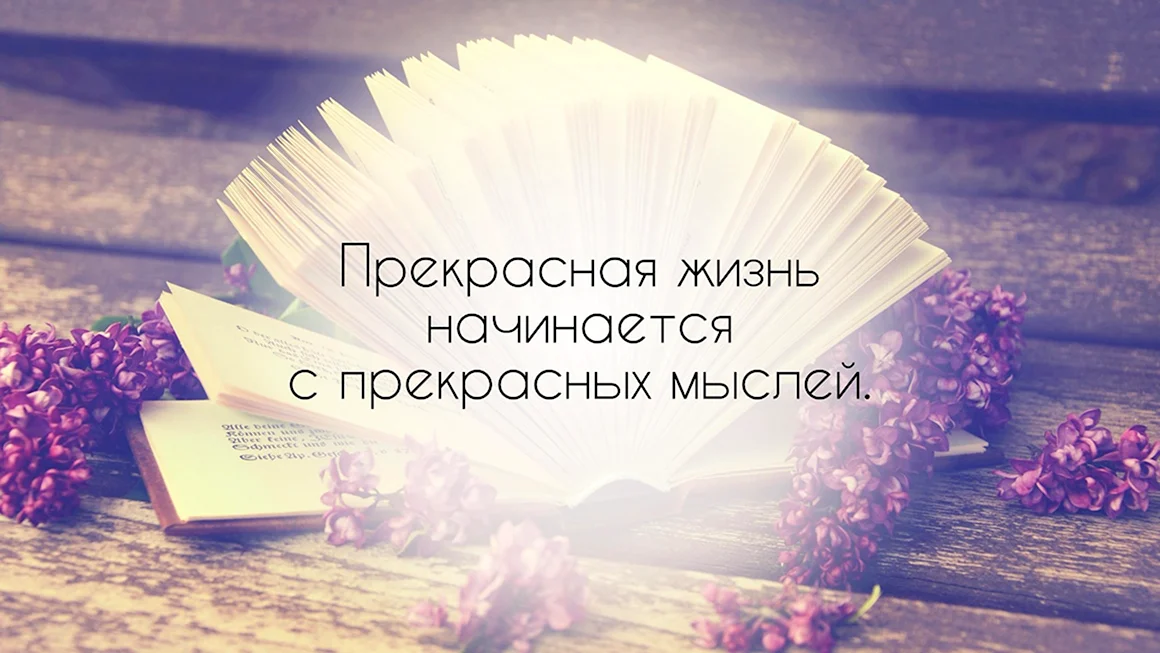 Цитаты