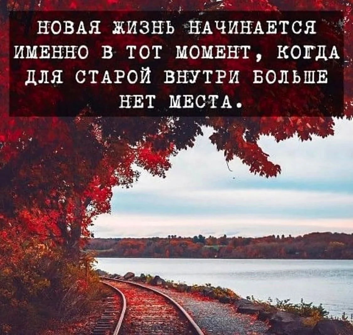 Цитаты
