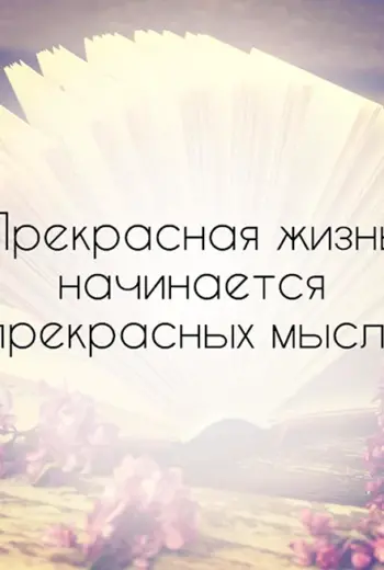 Цитаты