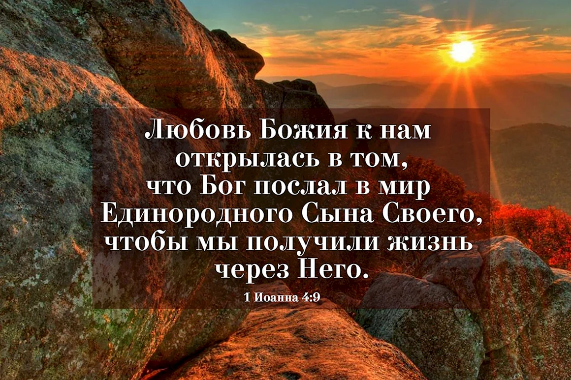 Цитаты их Библии о жизни