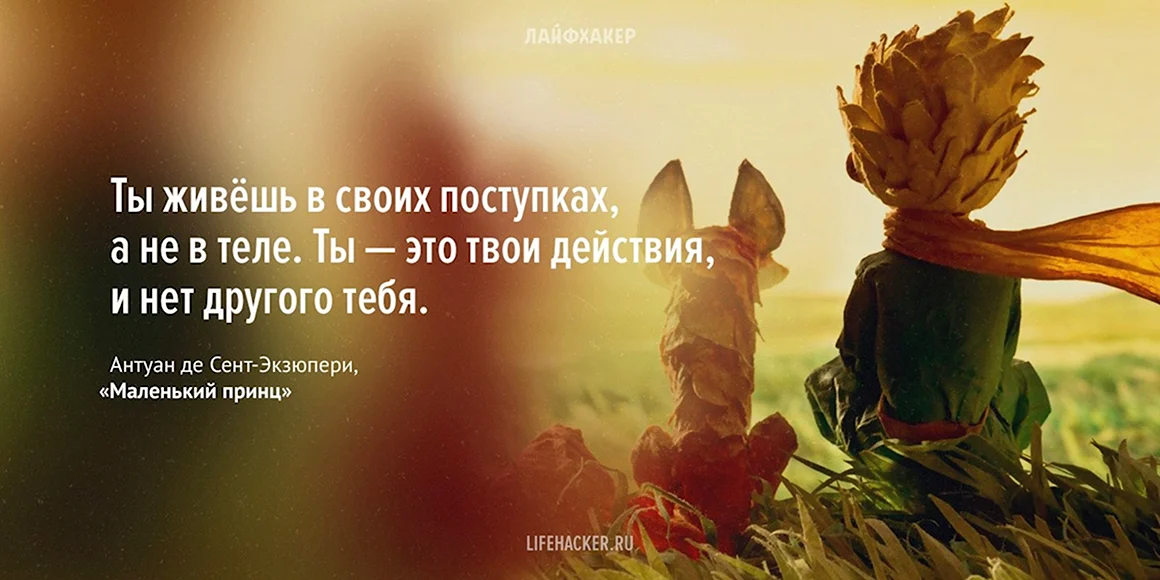 Цитаты из книг