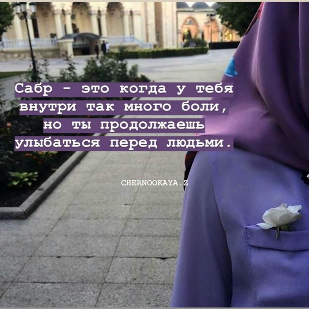 Цитаты мусульманки