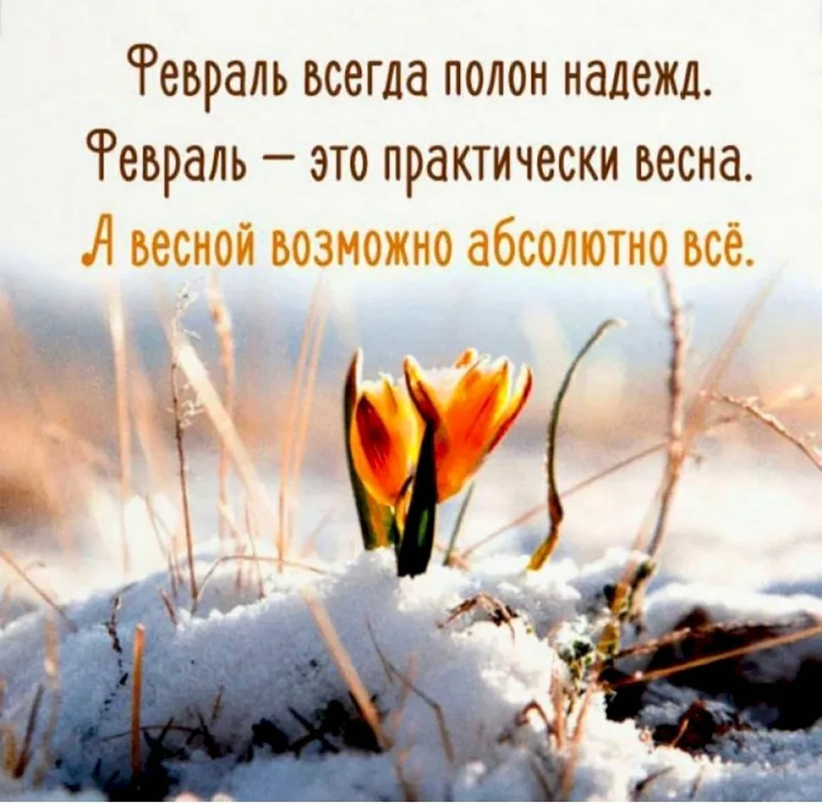 Цитаты про февраль