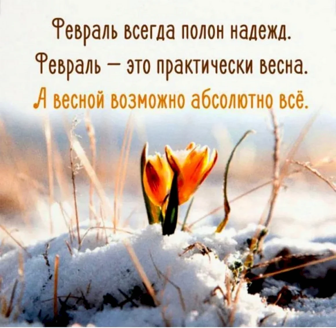 Цитаты про февраль