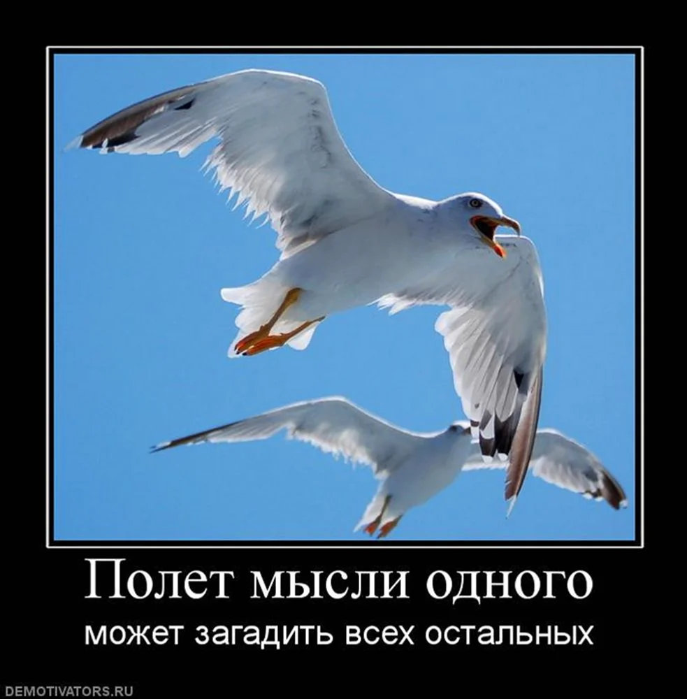 Цитаты про полет