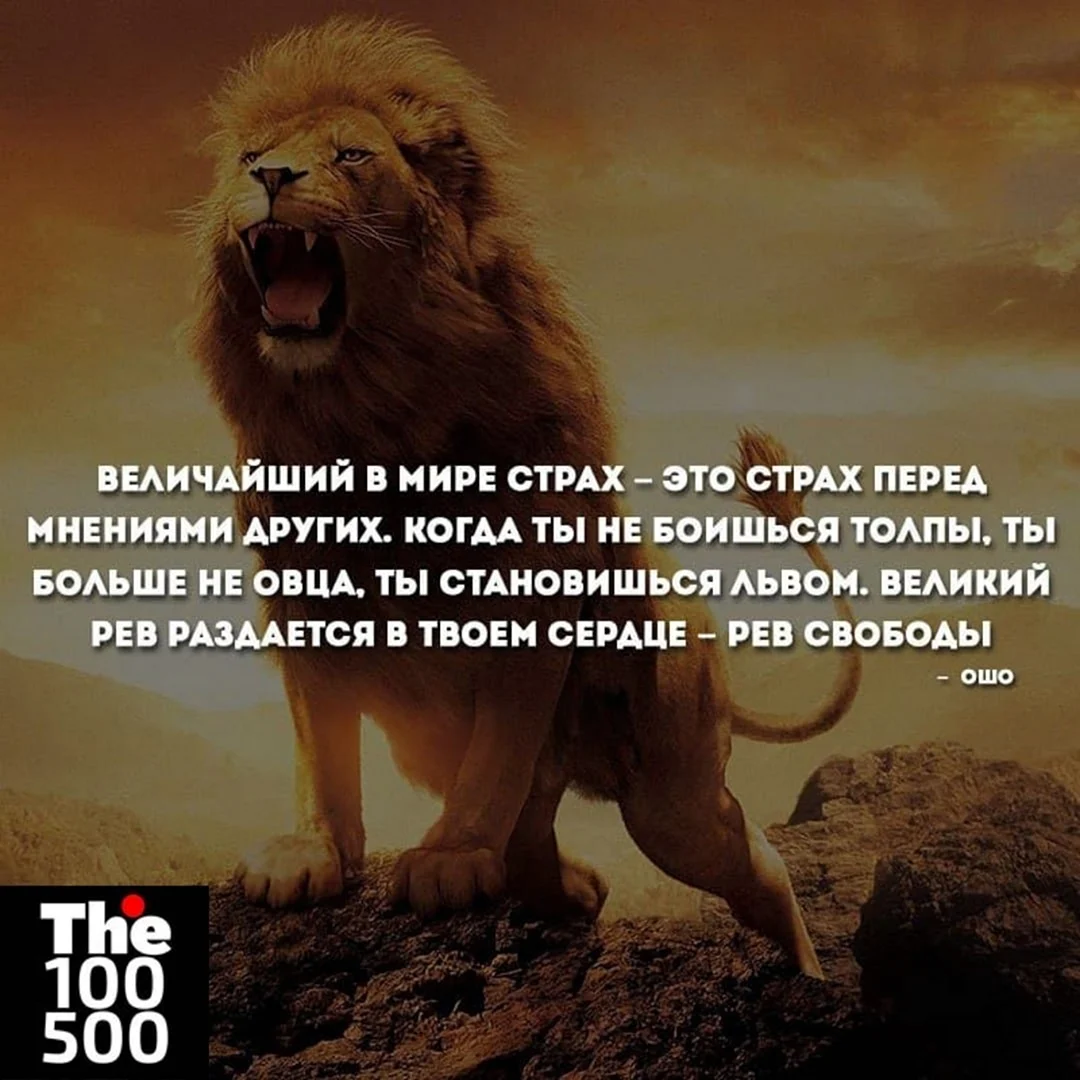 Цитаты про страх