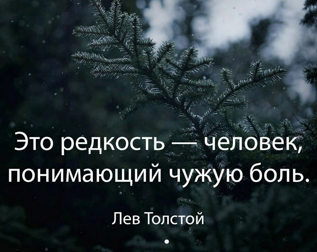 Цитаты со смыслом
