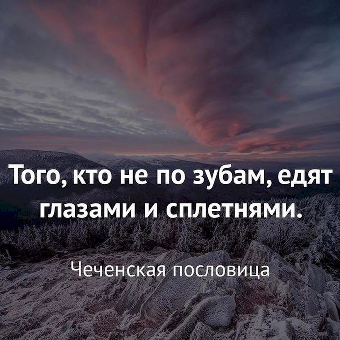 Цитаты со смыслом
