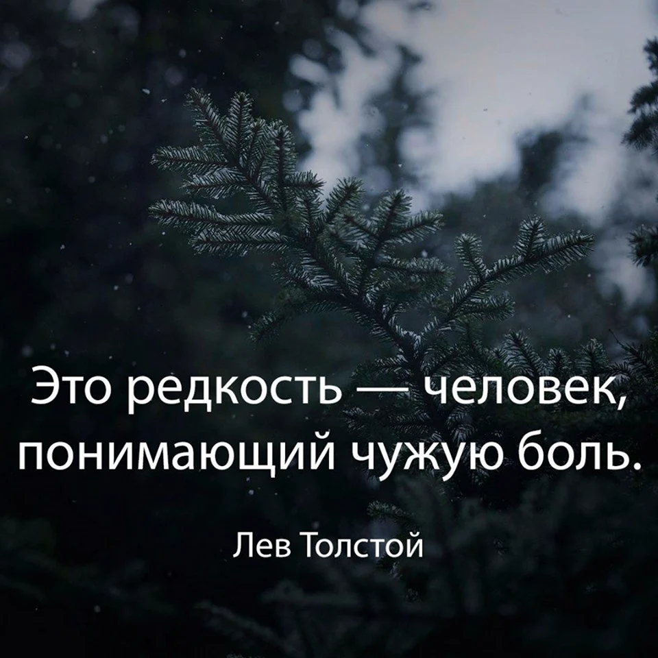 Цитаты со смыслом