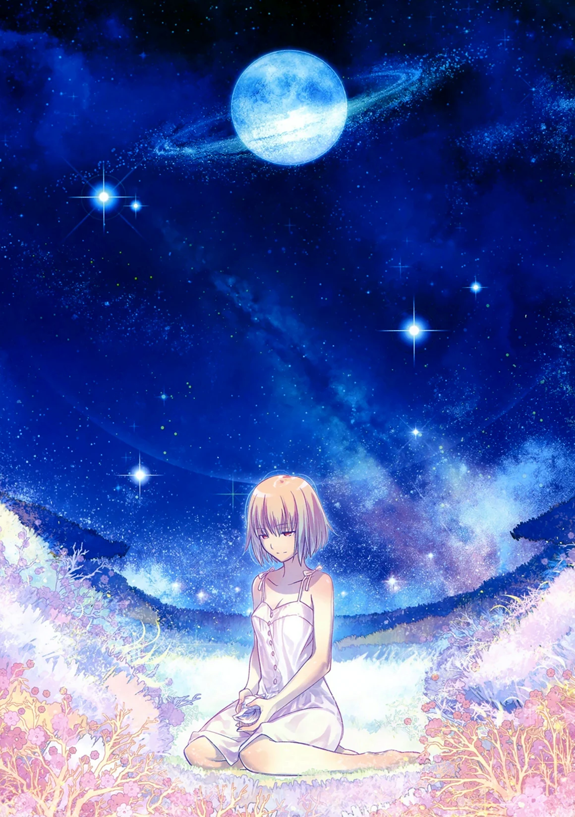 Tsuki no Sango аниме