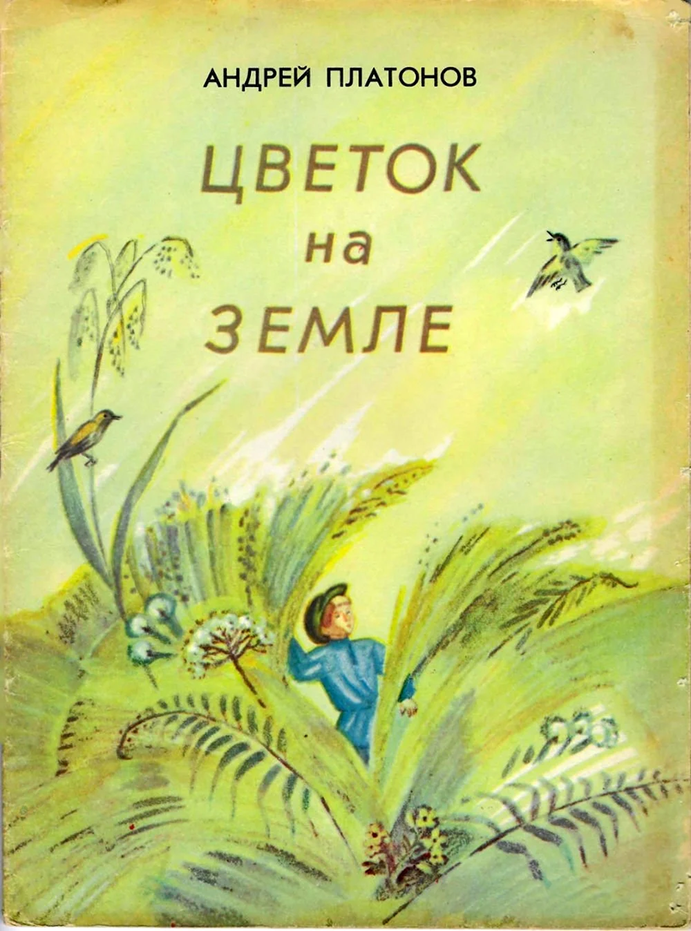 Цветок на земле Платонов