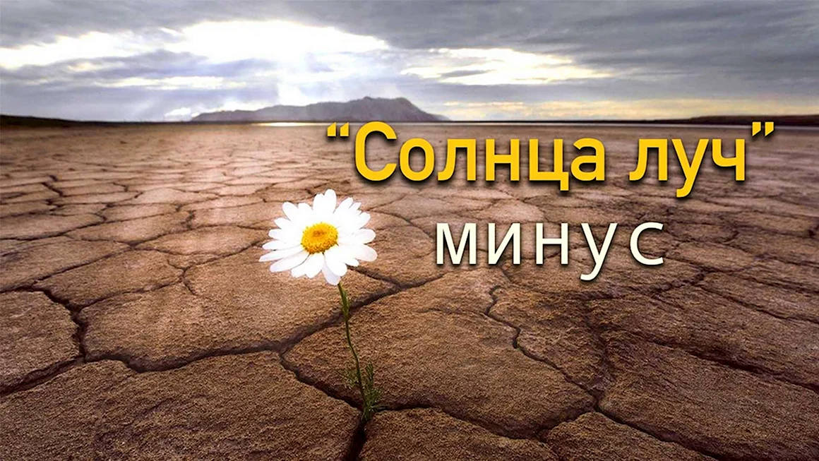 Цветок в пустыне