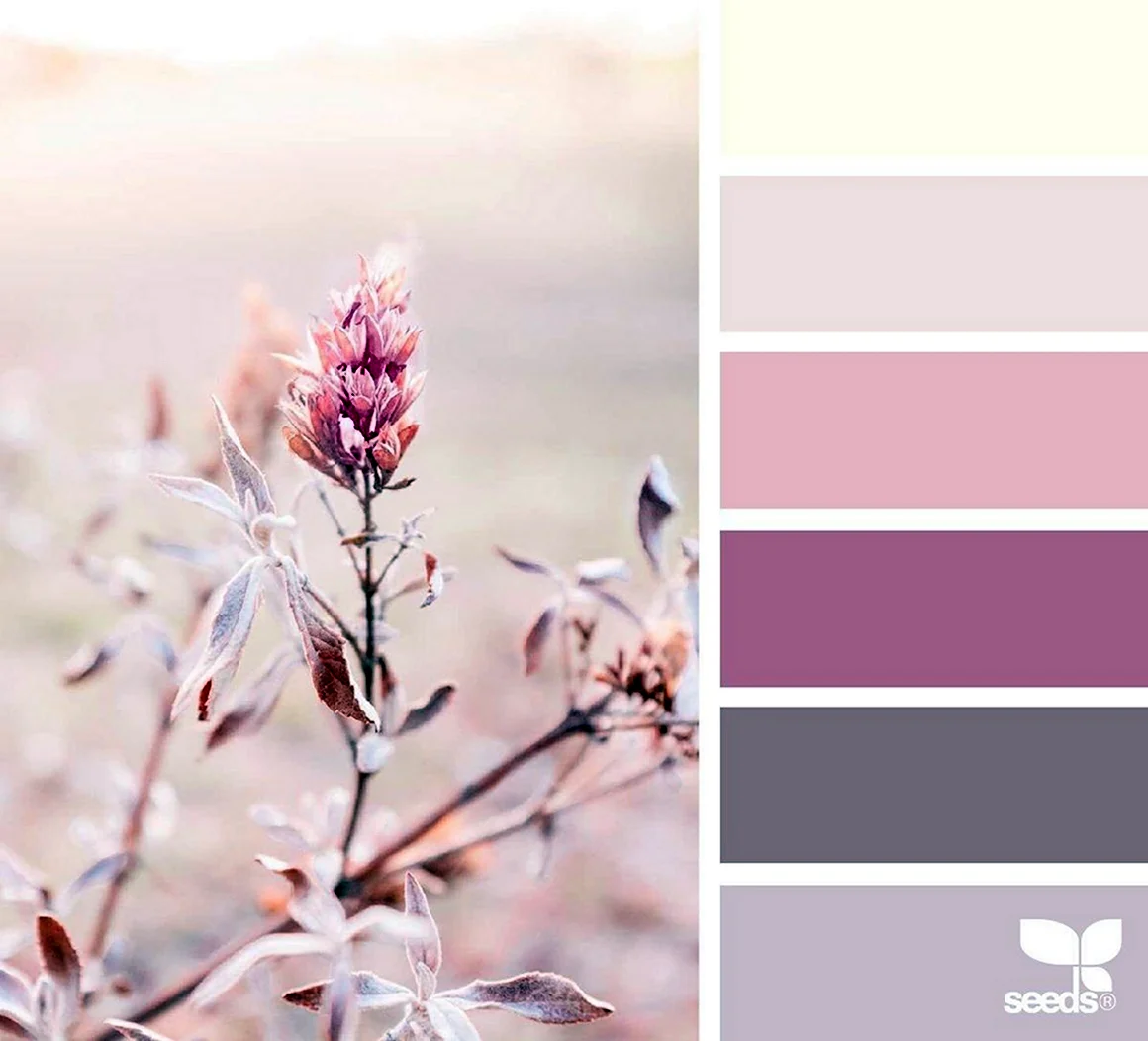 Цветовая палитра Color.romanuke