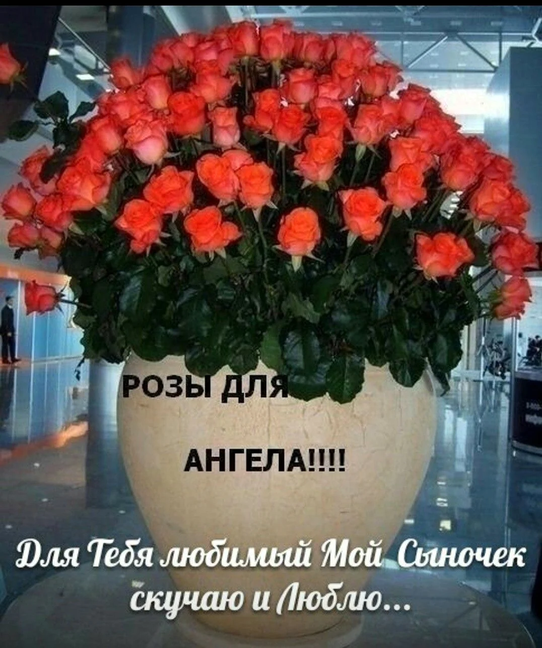 Цветы для Анжелики