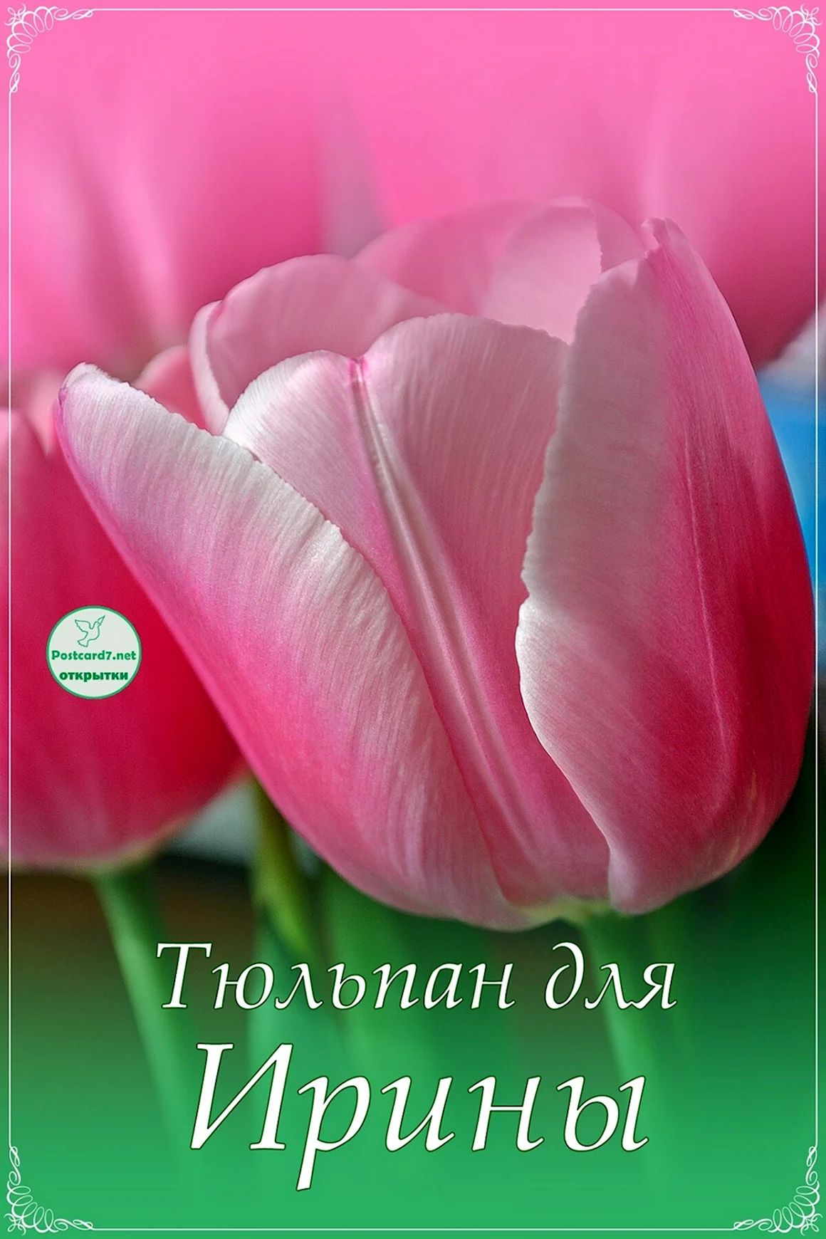 Цветы для Ирочки