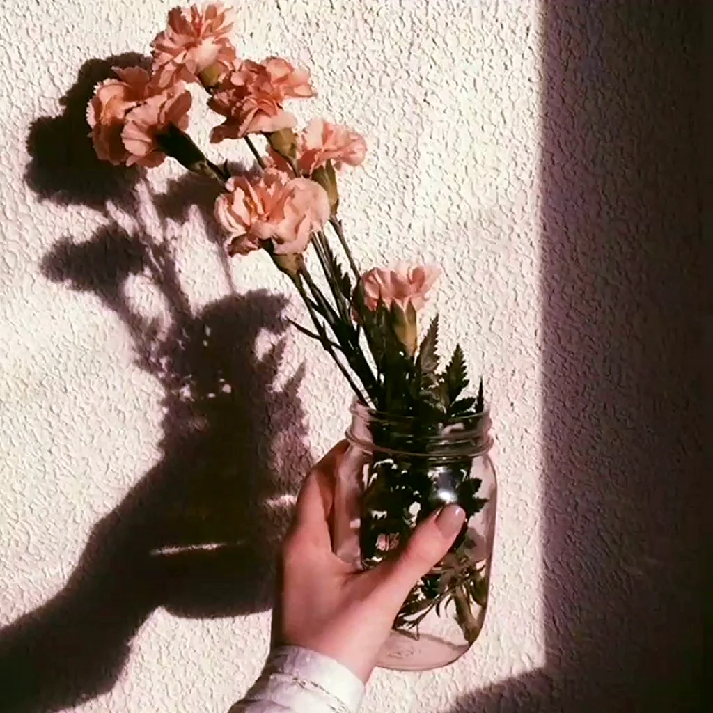 Цветы Эстетика