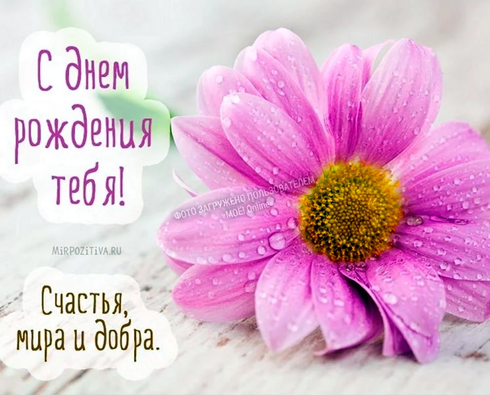 Цветы HD вертикальные