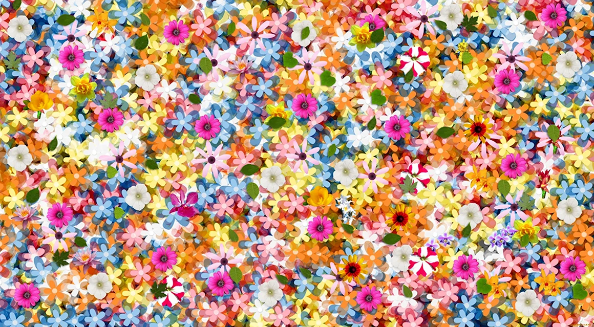Цветы много маленьких