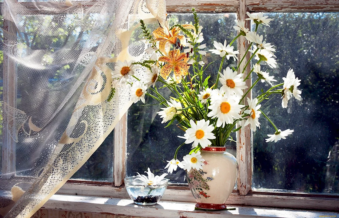 Цветы на окне