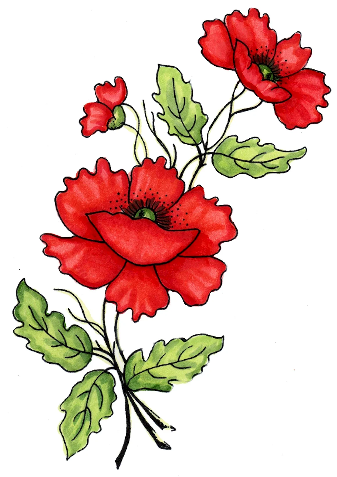 Цветы рисунок
