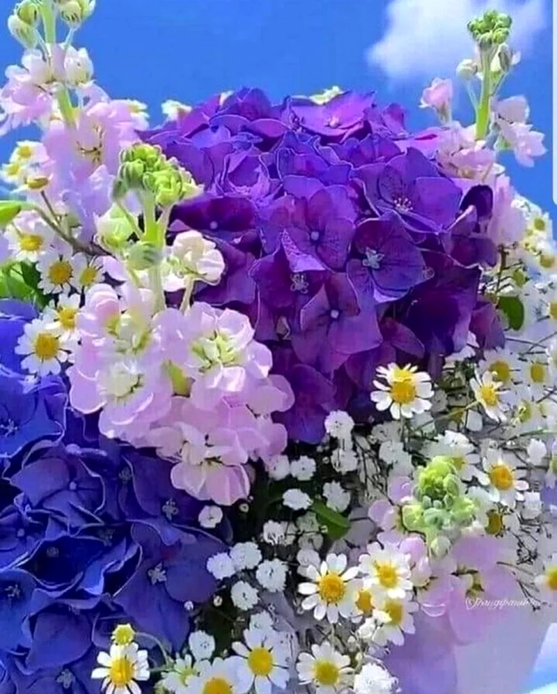 Цветы с пожеланиями