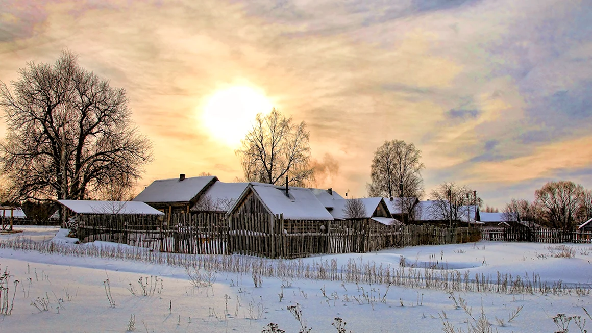 Тульская деревня зимой