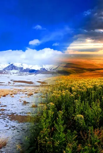 Тундра – Тайга – Саванна – степь - пустыня
