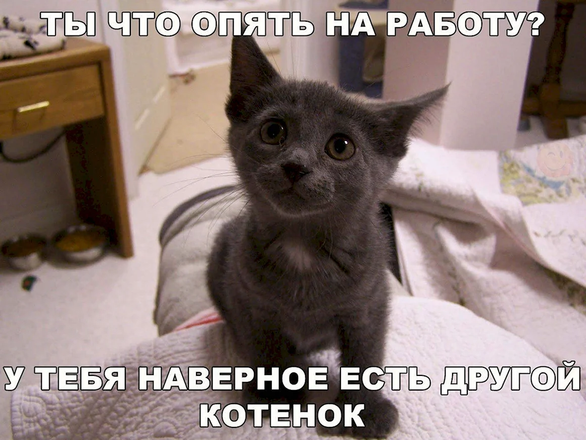 Ты опять на работе
