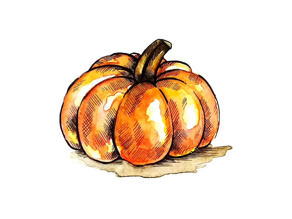 Тыква для срисовки