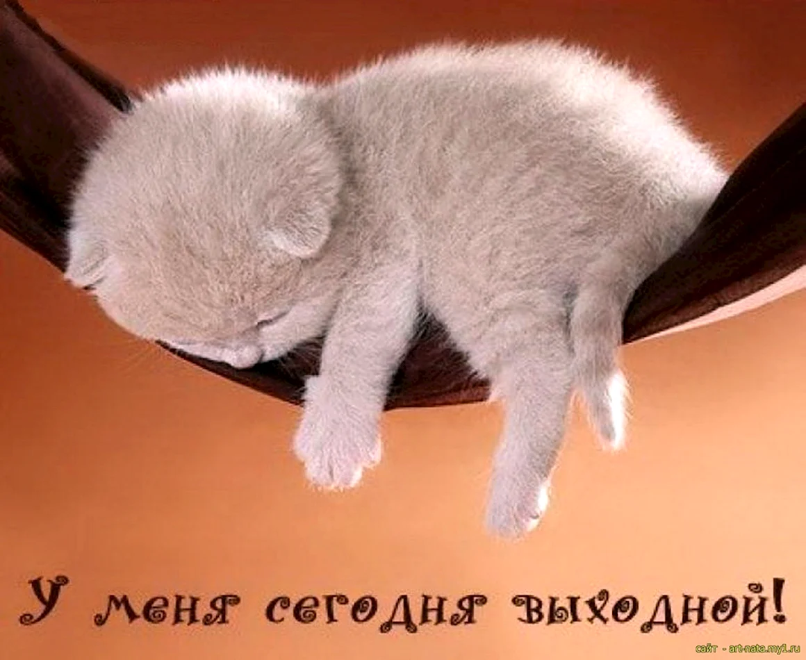 У меня выходной